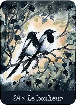 81WlZ0xv+8L._AC_UF350,